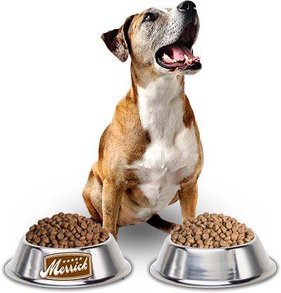 Dog Food